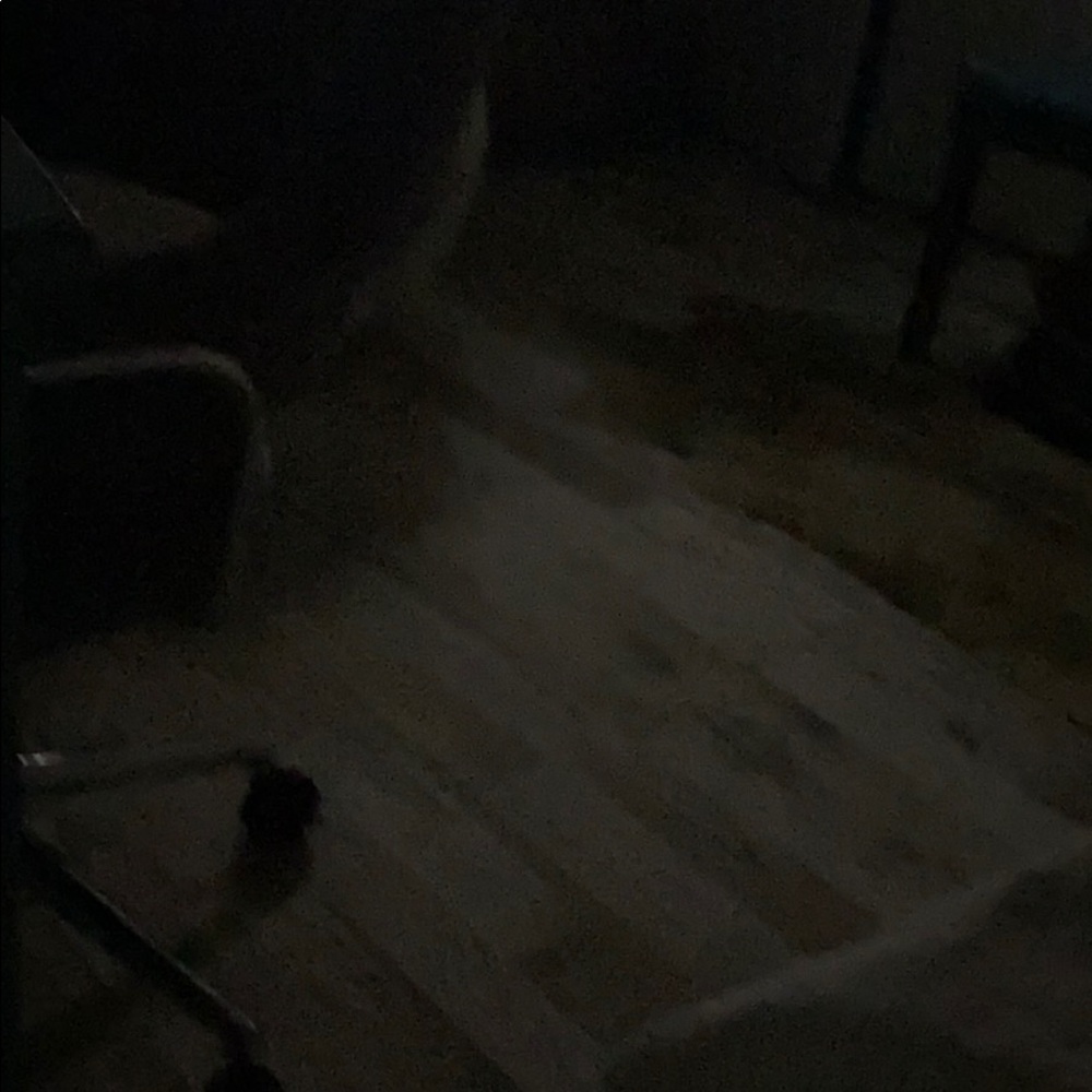 Meet your Posher, Morgan